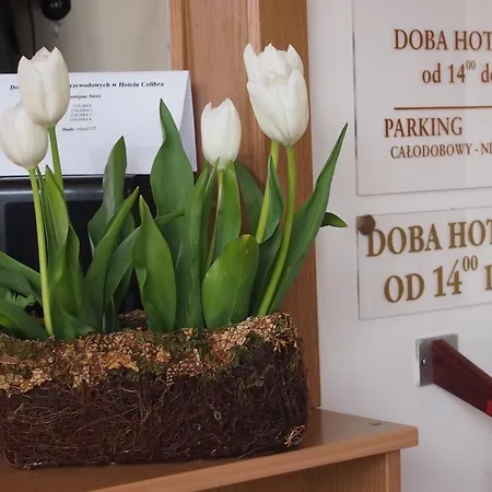 Colibra Варшава